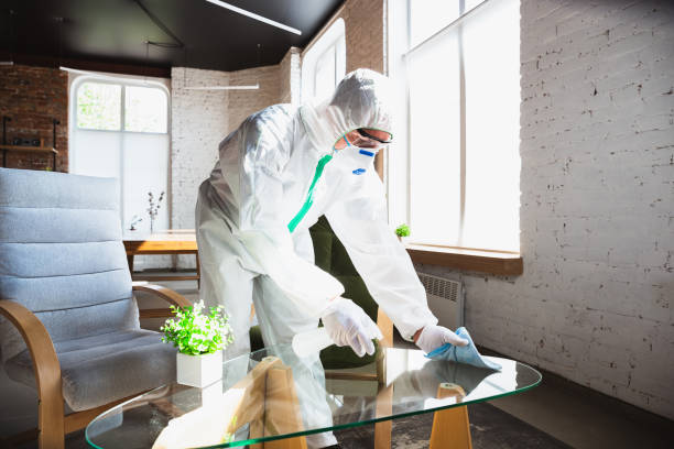 Best Forensic Mold Investigation  in Hawthorne, FL